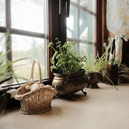 Dom Zielarki Z Widokiem Na Jezioro, Sauna, Balia Żuromin