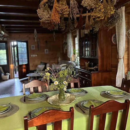 Dom Zielarki Na Kaszubach - Widok Na Jezioro, Sauna, Balia