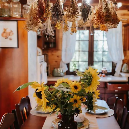 Dom Zielarki Z Widokiem Na Jezioro, Sauna, Balia Żuromin