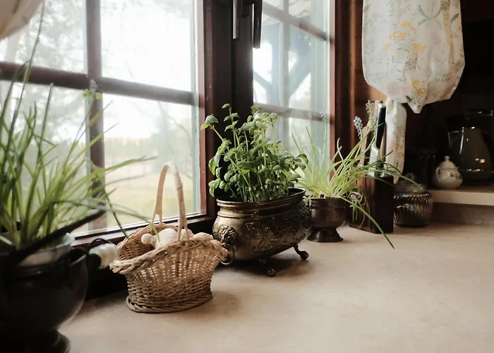 Dom Zielarki Z Widokiem Na Jezioro, Sauna, Balia Żuromin