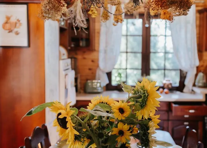 Dom Zielarki Z Widokiem Na Jezioro, Sauna, Balia Żuromin